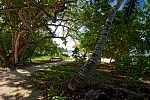 Северный пляж отеля CONSTANCE EPHELIA RESORT MAHE 5*